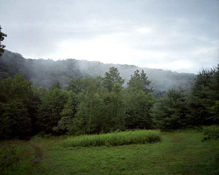 Misty field, Grossinger's Resort, Liberty, NY 2008