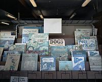 Shop window, Phoenicia, NY 2008