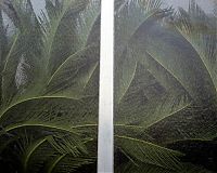 Greenhouse, Bologna, Italy 2007