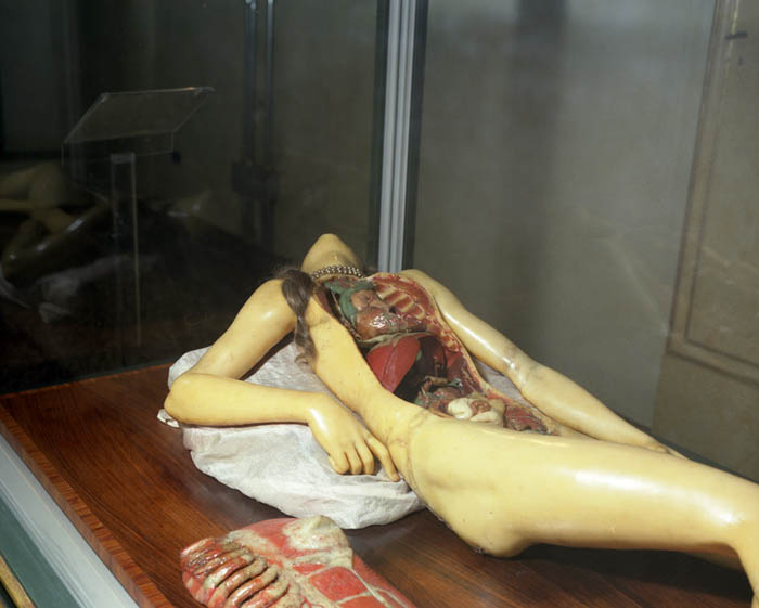 Wax figure, Bologna, Italy 2007