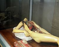 Wax figure, Bologna, Italy 2007