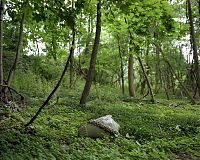Abandoned cemetery, Westchester County, NY 2008