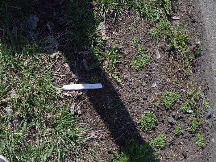 Pregnancy test stick by the side of the road, CT, 2016