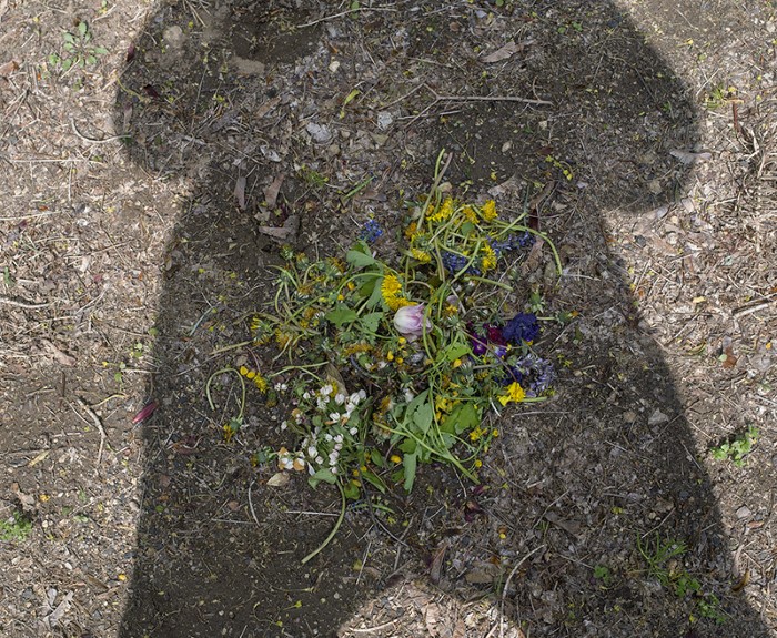 Picked flowers in my shadow belly, CT, 2016