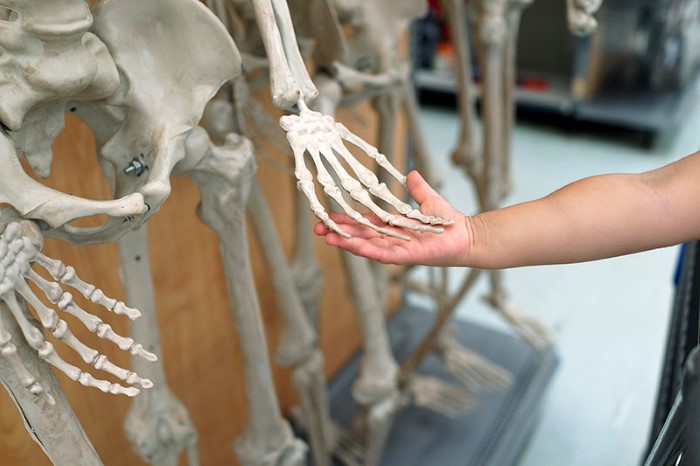 Touching a skeleton’s hand at Walmart, CT 2017